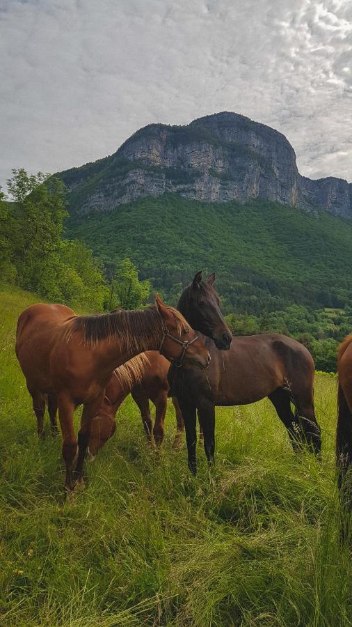 Studio Au Pied De La Montagne Et Vue Imprenable Saint-Alban  Εξωτερικό φωτογραφία