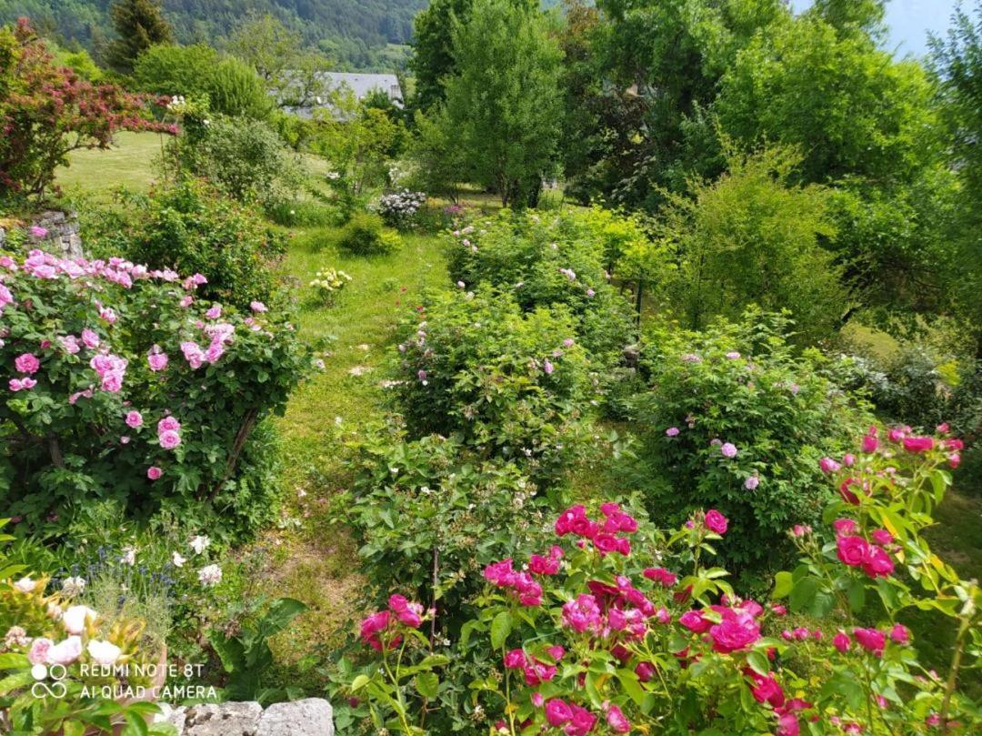 Studio Au Pied De La Montagne Et Vue Imprenable Saint-Alban  Εξωτερικό φωτογραφία